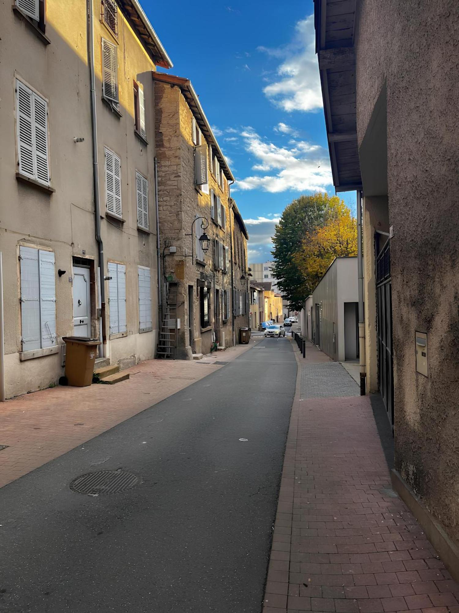 Tinyhouse Experience In Beaujolais Apartment Villefranche-sur-Saône Екстериор снимка